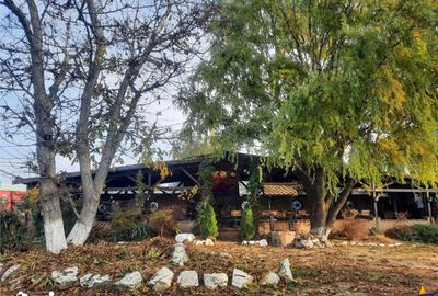 Spațiu comercial, de 380 mp, în Feldioara - 17