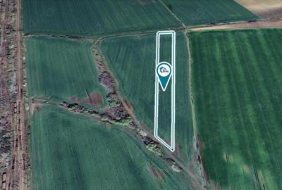 Teren de 11400 mp, în Zimandu Nou