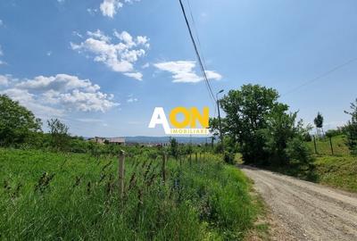 De vanzare 998 mp teren intravilan, Cetate - 2