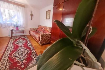 Poveste saseasca la umbra vitei de vie, cu crama si gradina cu flori, Central Co - 30