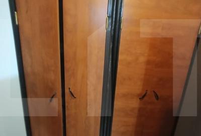 Apartament cu 4 camere, doamna Ghica - 11