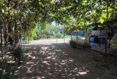 Casa batraneasca 5 camere, Loc. Rosiori , jud. Mehedinti Casa batraneasca 5 camere, Loc. Rosiori , jud. Mehedinti - 2