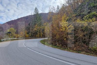 Teren de 1200 mp, în Mănăștur