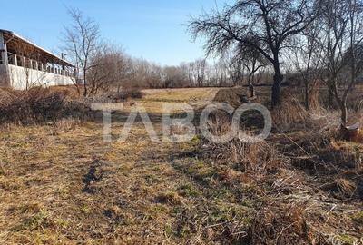 Teren intravilan 3600 mp doua fronturi stradale in Voila - 2