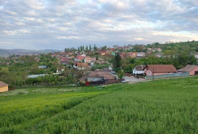 Teren intravilan Tarnaveni - 5