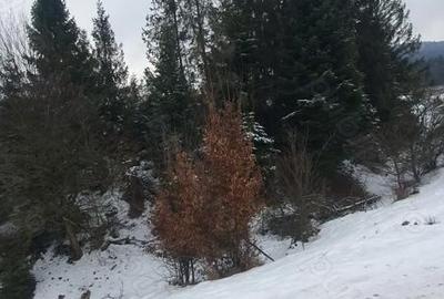 Teren de 3200 mp, în Capu Câmpului