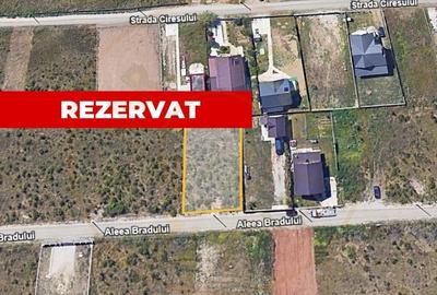 Teren Trivale - Aleea Bradului - Zona excelenta - 1