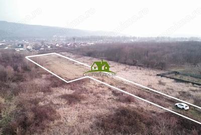 Teren de 3350 mp, în Bujoreni - 10