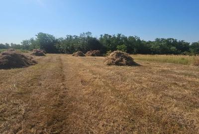 Teren de 4600 mp, în Albota - 2