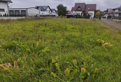 Oportunitate! Teren intravilan, 850mp, 50ml front , Radauti - 4