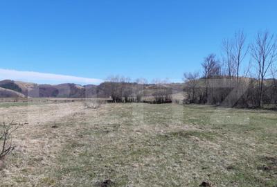 Teren extravilan 1.000 mp Valea Draganului - 1