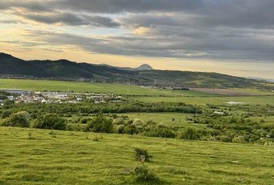 Teren de 10000 mp, în Zărnești - 3