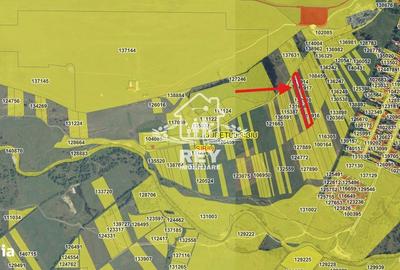 Spațiu comercial, în Turnișor - 2