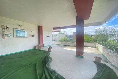 Oferta vanzare penthouse, ap 2 cam, 155 mp, Negru Voda, 149000 euro - 4