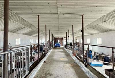 Pret redus Teren generos cu grajd nou in Varsand - 3