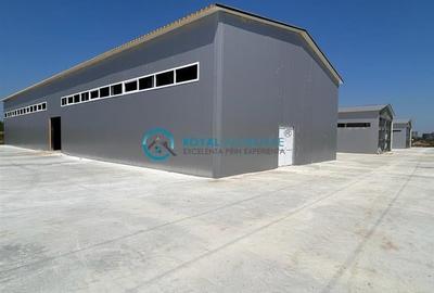 Royal Imobiliare - Inchiriere Hala zona Exterior Nord - 2