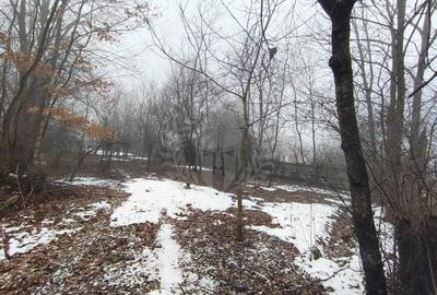 Teren de 659 mp, în Cornu - 3