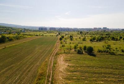 Teren intravilan, 2.800 m2, Cluj-Napoca - 7