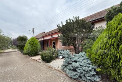 Ferma de Vanzare in judetul Timis, la nord est de Timisoara, - 25