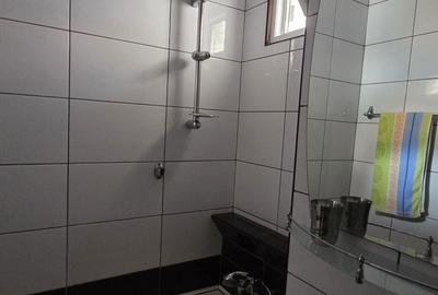 Apartament cu 3 camere semidecomandat în Central - 4