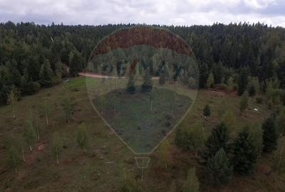 Teren agricol extravilan de 68607 mp, în Călățele - 14