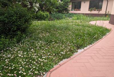 Eleganta si generoasa,robusta,str.linistita,sens unic,curte verde,intimitate,lux - 20