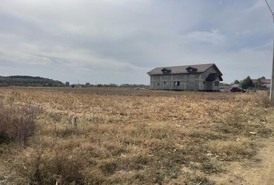 Domne?ti, Teghes, teren de 1000mp langa padure, utilitati. - 6