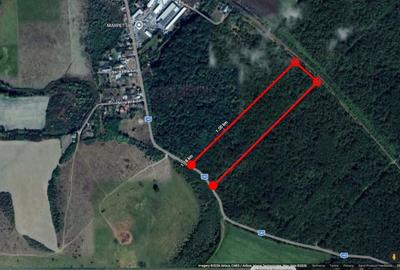 Teren extravilan de 54000 mp, în Drăgănești - 4