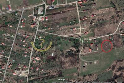 Teren 1,500 mp, vedere panoramica, Sibiu-Daia Noua - 7
