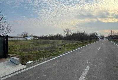 Teren de 1167 mp, în Cuza Vodă - 2