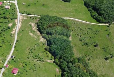 Teren de 30670 mp, în Codru Butesii - 3