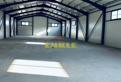 Spațiu industrial, de 580 mp, în Mănăstirea Doamnei - 1