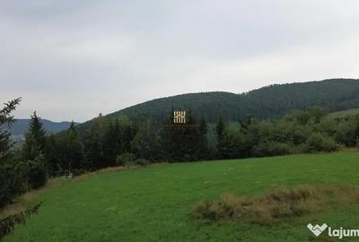 Teren de 5023 mp, în Voroneț - 16