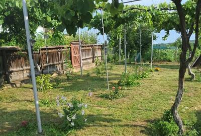 Casă cu 3 camere cu Teren 1446 Mp în Moinești - 4