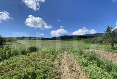 Teren intravilan in suparafat de 19213 mp, zona Valea Mitii - 2