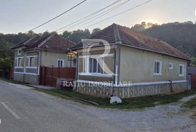 Casă cu 6 camere cu Teren 2300 Mp în Pomezeu - 17