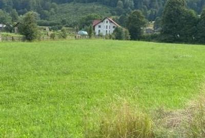 Teren de 6000 mp, în Central - 3