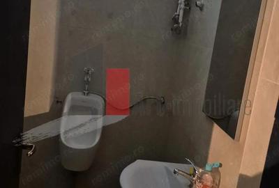 Spatiu Comercial de inchiriat in zona Mosilor - 3