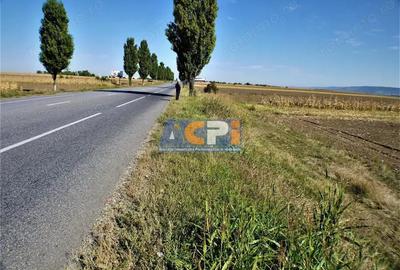 Teren iesire din Nicolae Balcescu, la 200ml de E85 Bacau - 3