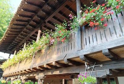 For SALE Historic Property in Elena, Bulgaria Guesthouse Ready for Business - 6