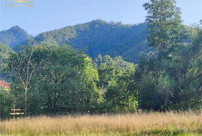 Teren intravilan Bistrita Birgaului, schimb cu apartament - 9