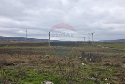 Teren agricol extravilan de 41025 mp, în Periferie - 6