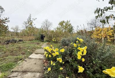 Casa ?i teren de vanzare - Frumu?i?a, Gala?i - 9