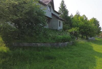 Teren Construcții intravilan de 4863 mp, în Adâncata - 4