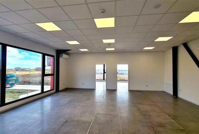 Hala noua de inchiriat , zona Lugojului - Aeroport Tmisoara - 9