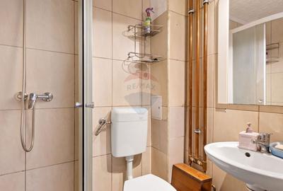 Apartament 1 camera de inchiriat zona Banul Maracine - 8