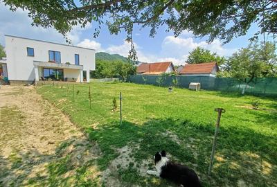 Str. Corbului, casa P+1, 30 ari teren - 2