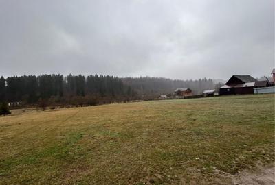 Teren de 4150 mp, în Beba Veche - 1