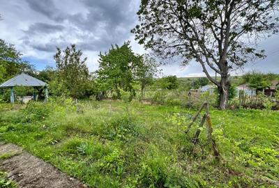 Casa + teren 4430 mp, vie si pomi fructiferi, 22 km de Tecuci - 20