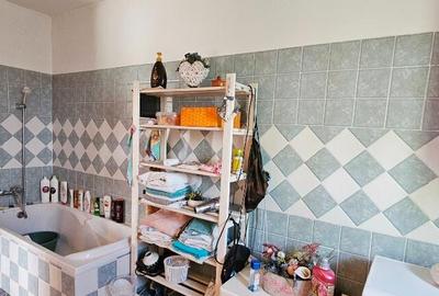 Proprietate Slobozia-Roznov, casa mansardata, teren si livada - 2